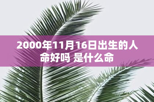 2000年11月16日出生的人命好吗 是什么命