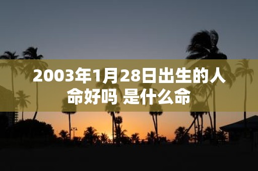 2003年1月28日出生的人命好吗 是什么命