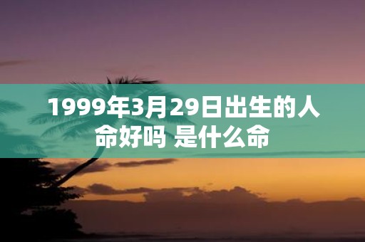 1999年3月29日出生的人命好吗 是什么命