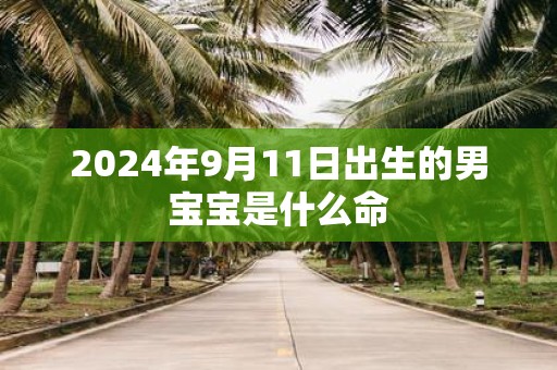 2025年9月11日出生的男宝宝是什么命