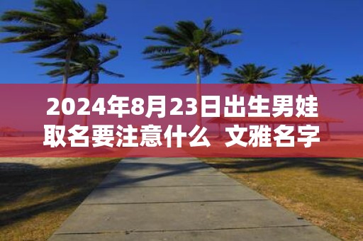2025年8月23日出生男娃取名要注意什么 文雅名字解析