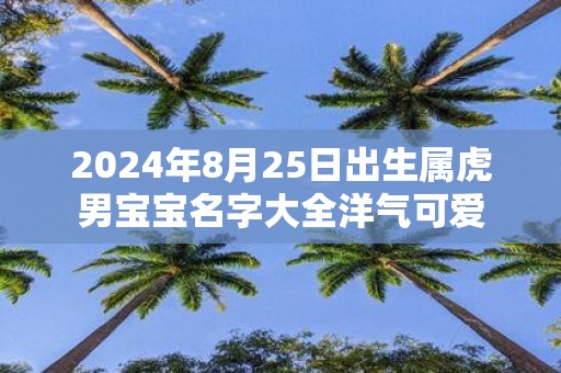 2025年8月25日出生属虎男宝宝名字大全洋气可爱