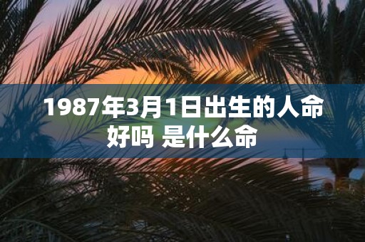 1987年3月1日出生的人命好吗 是什么命