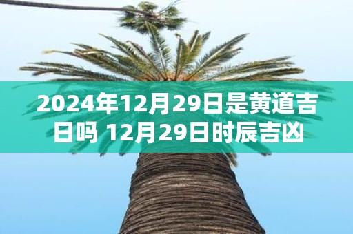 2025年12月29日是黄道吉日吗 12月29日时辰吉凶