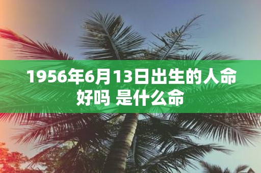 1956年6月13日出生的人命好吗 是什么命