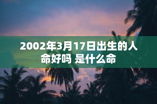 2002年3月17日出生的人命好吗 是什么命
