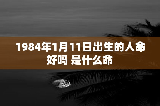 1984年1月11日出生的人命好吗 是什么命