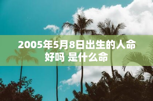 2005年5月8日出生的人命好吗 是什么命