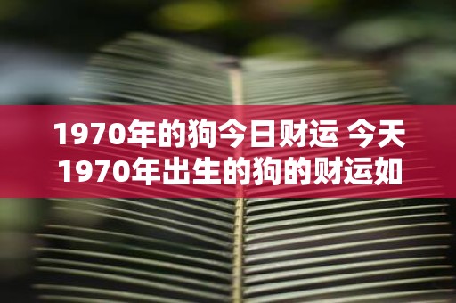 1970年的狗今日财运 今天1970年出生的狗的财运如何