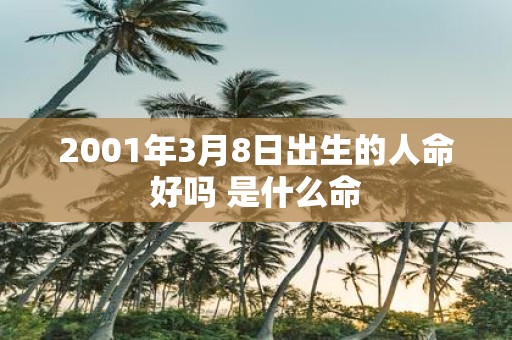 2001年3月8日出生的人命好吗 是什么命