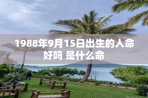 1988年9月15日出生的人命好吗 是什么命