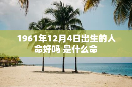 1961年12月4日出生的人命好吗 是什么命
