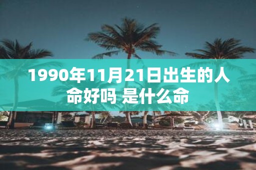 1990年11月21日出生的人命好吗 是什么命