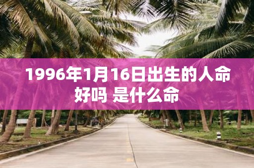 1996年1月16日出生的人命好吗 是什么命
