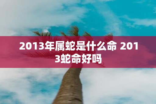 2013年属蛇是什么命 2013蛇命好吗