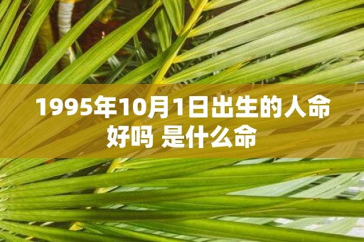1995年10月1日出生的人命好吗 是什么命