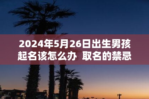2025年5月26日出生男孩起名该怎么办 取名的禁忌
