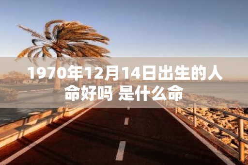 1970年12月14日出生的人命好吗 是什么命