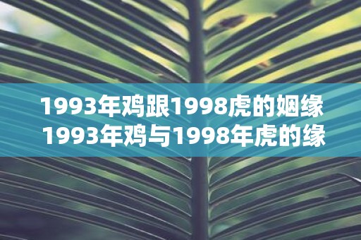 1993年鸡跟1998虎的姻缘 1993年鸡与1998年虎的缘分