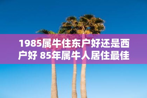 1985属牛住东户好还是西户好 85年属牛人居住最佳方位