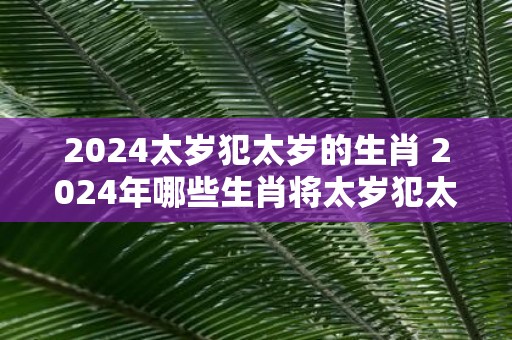 2025太岁犯太岁的生肖 2025年哪些生肖将太岁犯太岁