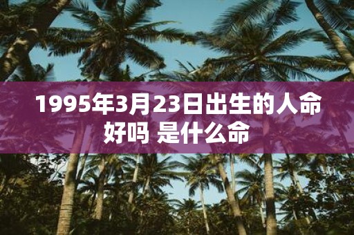 1995年3月23日出生的人命好吗 是什么命