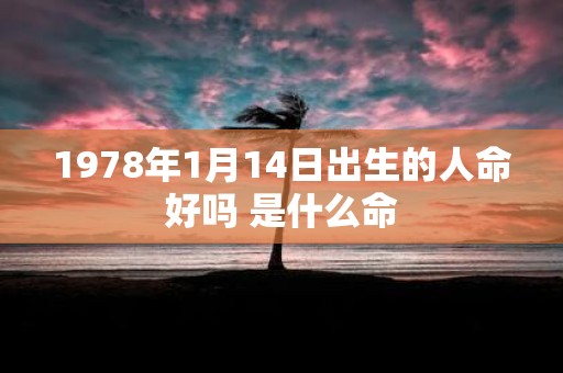 1978年1月14日出生的人命好吗 是什么命