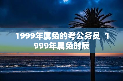 1999年属兔的考公务员 1999年属兔时辰