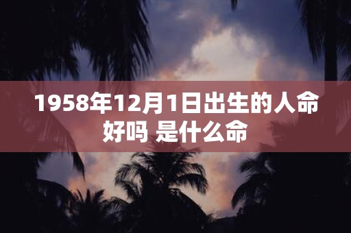 1958年12月1日出生的人命好吗 是什么命