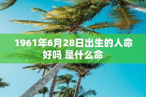 1961年6月28日出生的人命好吗 是什么命