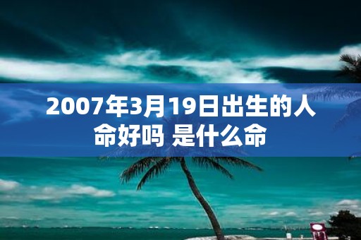 2007年3月19日出生的人命好吗 是什么命