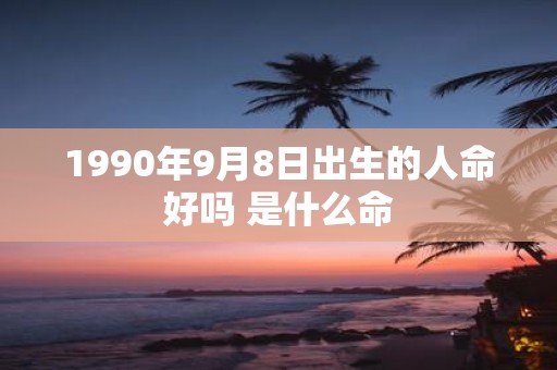 1990年9月8日出生的人命好吗 是什么命