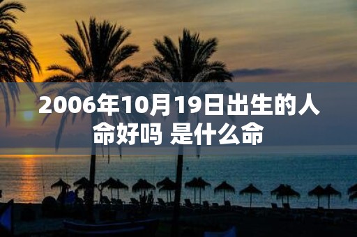 2006年10月19日出生的人命好吗 是什么命