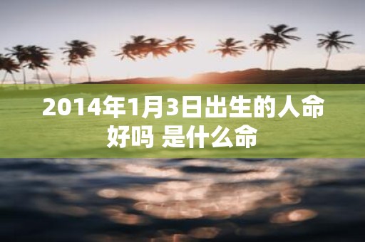 2014年1月3日出生的人命好吗 是什么命