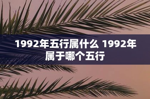 1992年五行属什么 1992年属于哪个五行