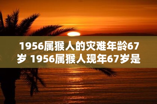 1956属猴人的灾难年龄67岁 1956属猴人现年67岁是否会遭遇灾难