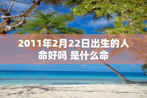 2011年2月22日出生的人命好吗 是什么命