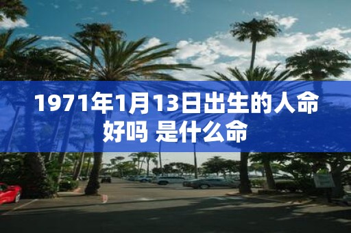 1971年1月13日出生的人命好吗 是什么命