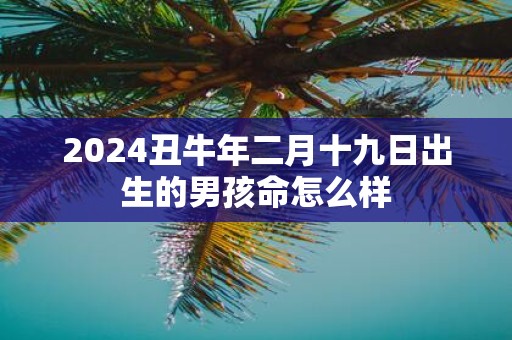 2025丑牛年二月十九日出生的男孩命怎么样