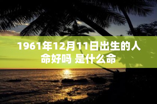 1961年12月11日出生的人命好吗 是什么命