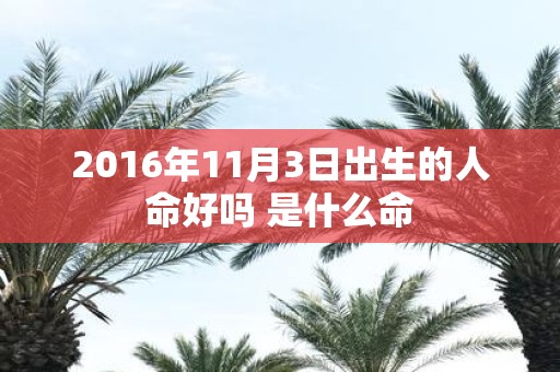 2016年11月3日出生的人命好吗 是什么命