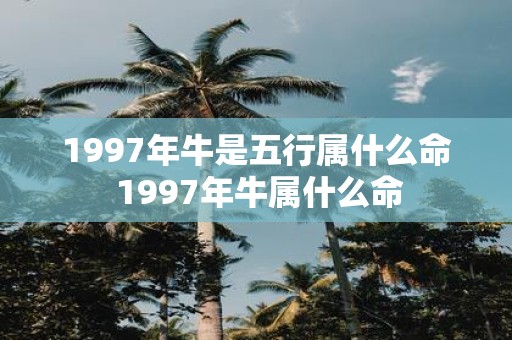 1997年牛是五行属什么命 1997年牛属什么命