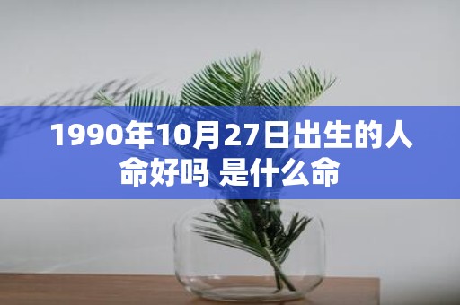 1990年10月27日出生的人命好吗 是什么命