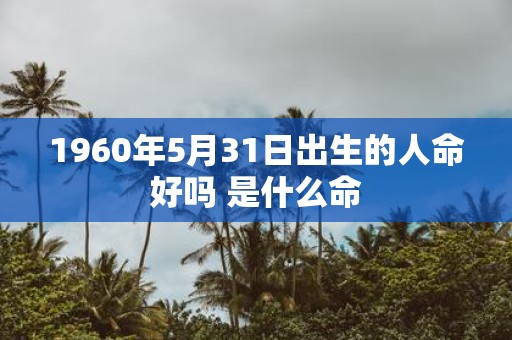 1960年5月31日出生的人命好吗 是什么命