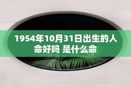 1954年10月31日出生的人命好吗 是什么命