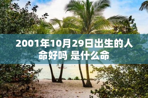 2001年10月29日出生的人命好吗 是什么命