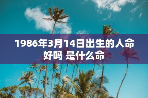 1986年3月14日出生的人命好吗 是什么命