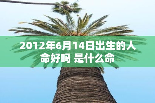 2012年6月14日出生的人命好吗 是什么命