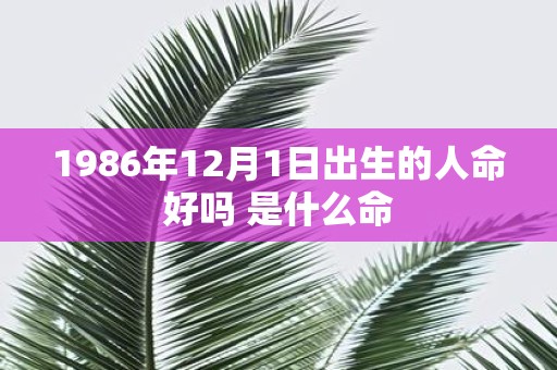 1986年12月1日出生的人命好吗 是什么命