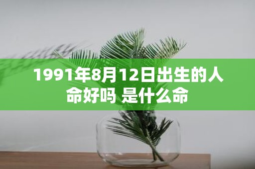 1991年8月12日出生的人命好吗 是什么命